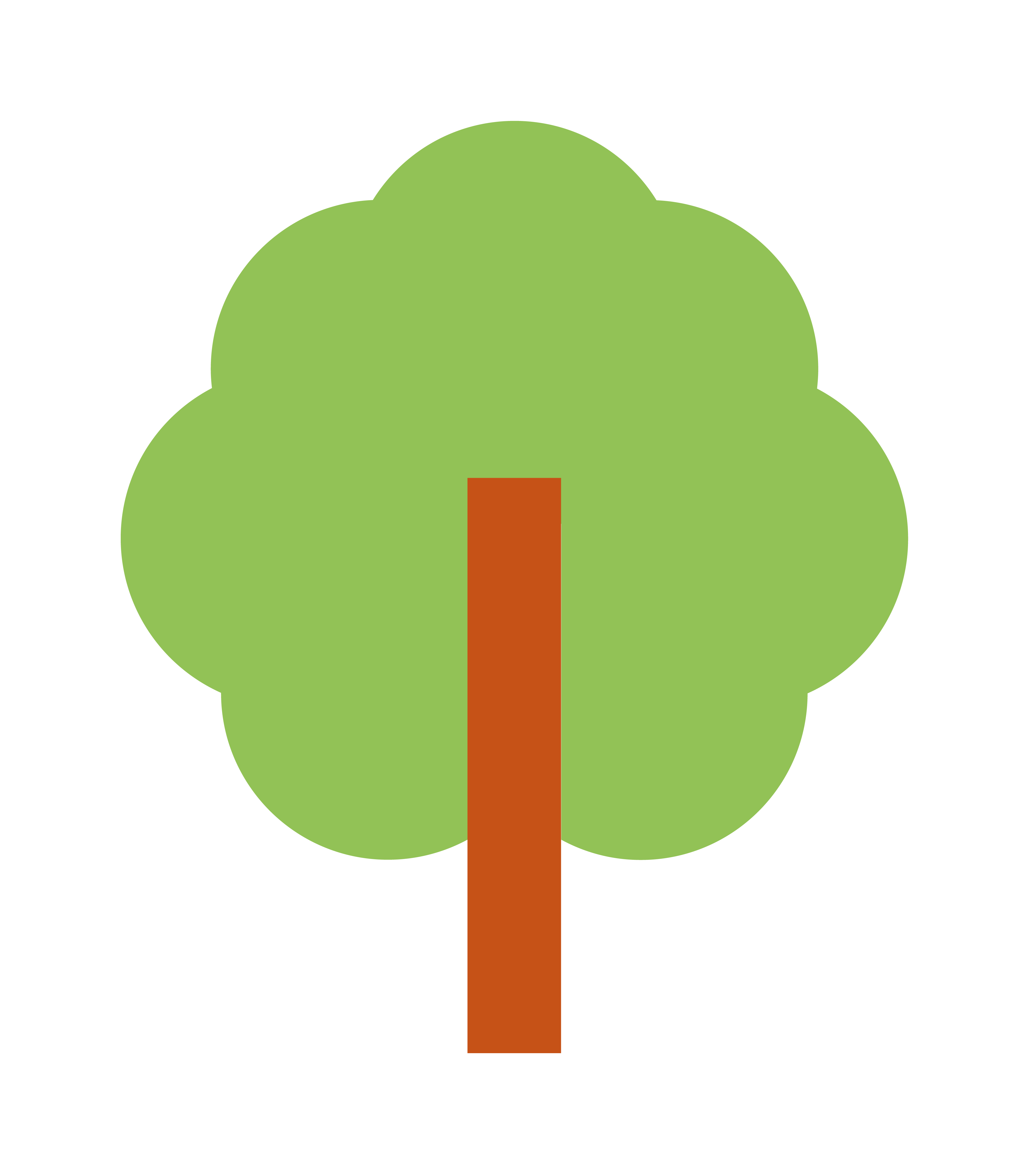 Enemmän puita kaakaoviljelmille